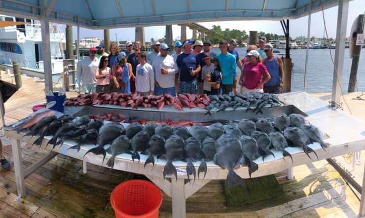 Happy Memorial Day from Entertainer Fishing Charters!
